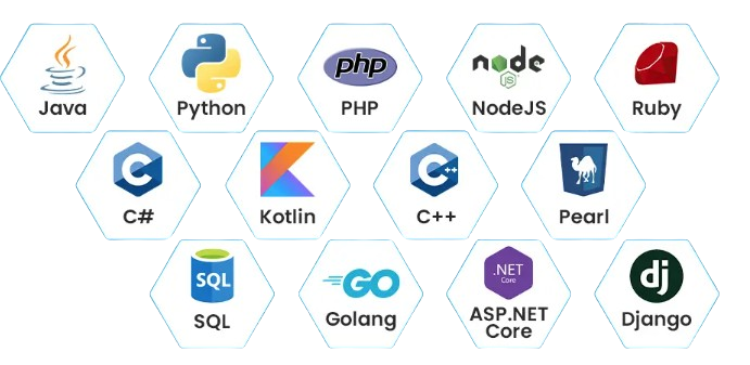 Web Design & Development